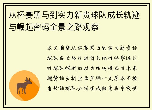 从杯赛黑马到实力新贵球队成长轨迹与崛起密码全景之路观察